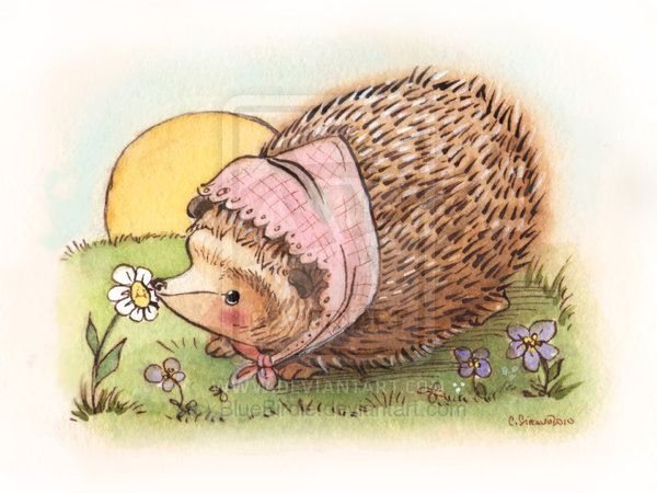 Беатрис Поттер ежики