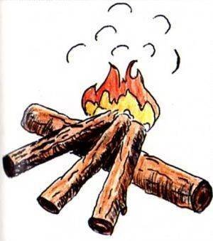 Вид костра Таежный