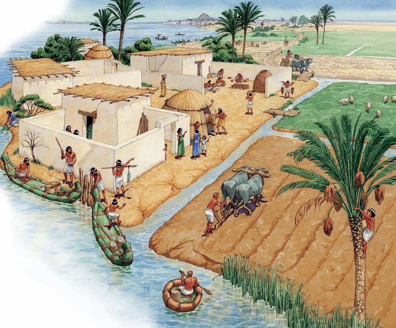 Древнее Двуречье поселок шумеров. Ирригационное хозяйство древний Египет. Система ирригации в древнем Египте. Двуречье дом