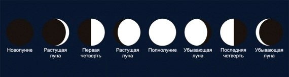 Новолуние рост Луны полнолуние старение