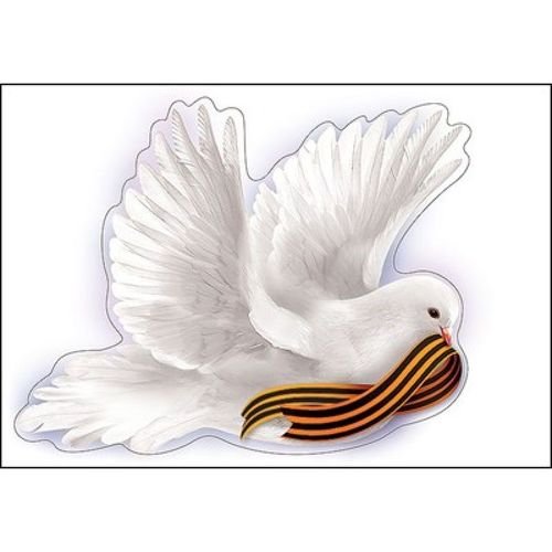 Голубь и Георгиевская ленточка