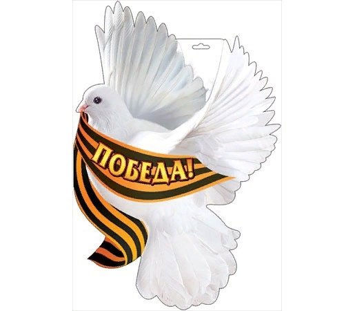Белый голубь с георгиевской лентой