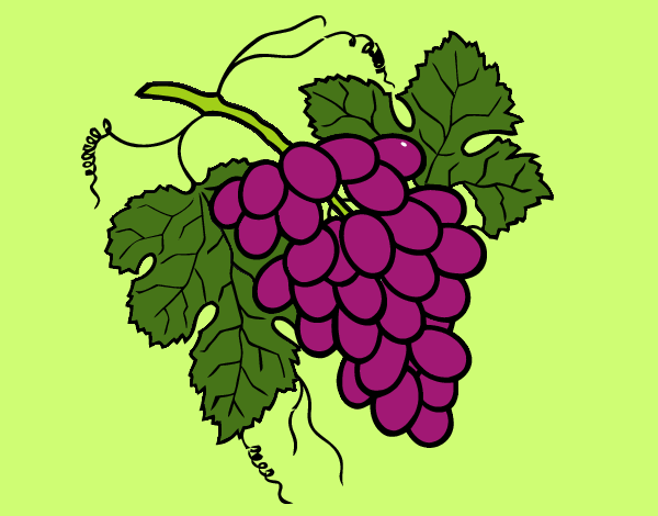 Виноград стилизация