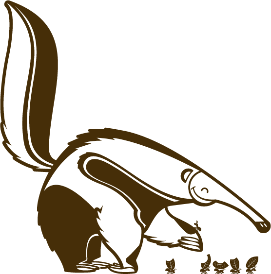 Муравьед раскраска