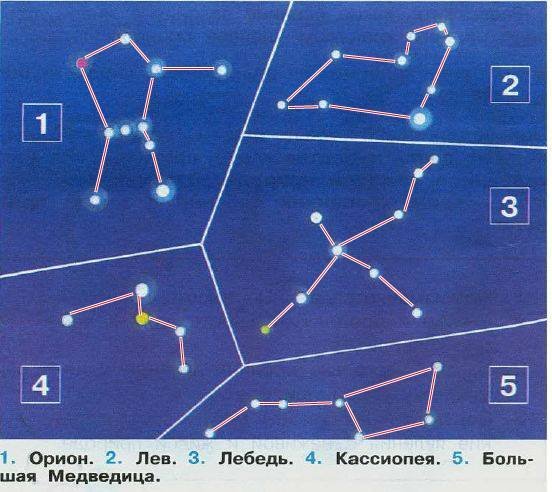 Созвездия медведицы Орион Кассиопея