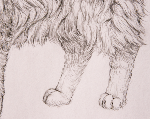 Рисование шерсти животных