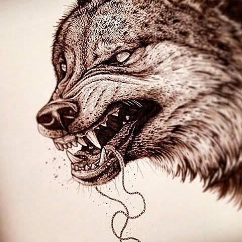 Волчий оскал эскиз