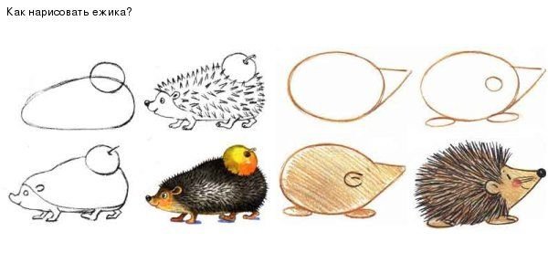 Этапы рисования ежика