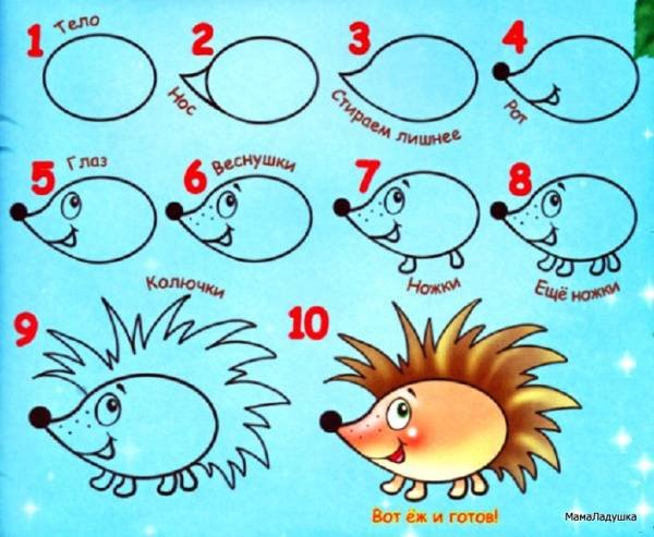 Ёжик пошагово рисунок