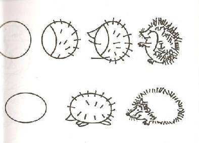 Ёжик для срисовки карандашом по этапам