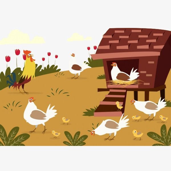 Курица на насесте раскраска