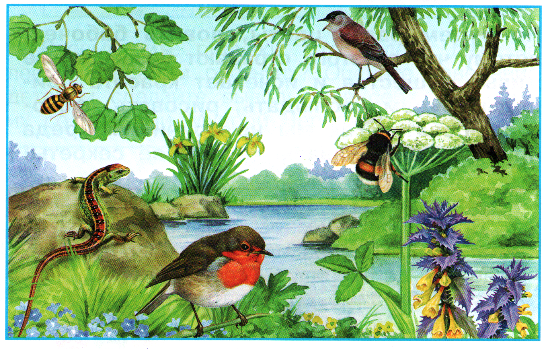 Кто из лесных обитателей издает мелодичные звуки. Окружающий мир. Природа рисунок. Природа рисунок для детей. Чудесный мир природы окружающий мир 1 класс.