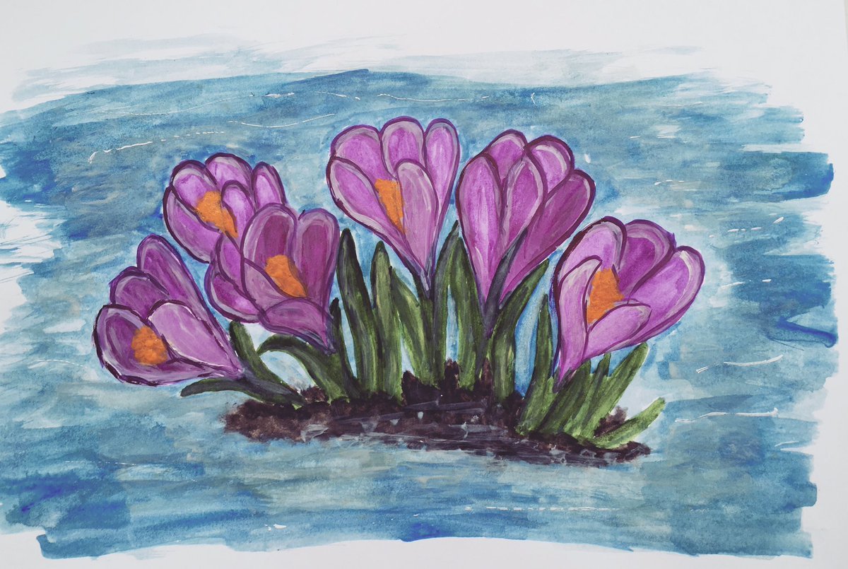 Крокус рисунок для детей. Первоцветы крокусы. Рисование первых весенних цветов. Рисование крокусы старшая группа. Первоцветы рисунок.