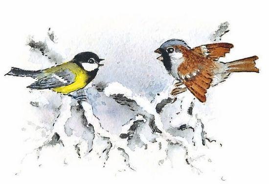 Синичкин календарь Бианки синичка