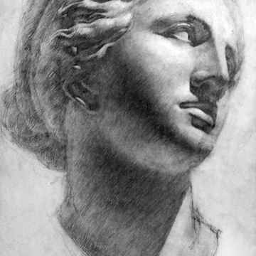 Голова Венеры Академический рисунок