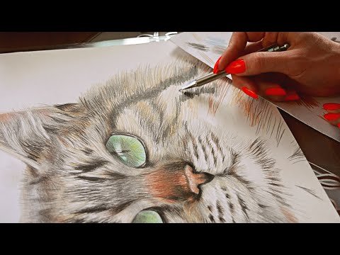 Шерсть кота карандашом