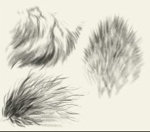 Шерсть карандашом