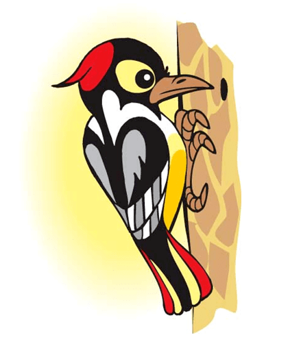 Дятел для детей