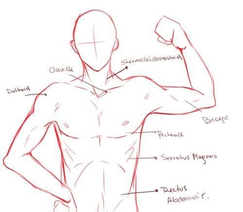 Мужское тело аниме