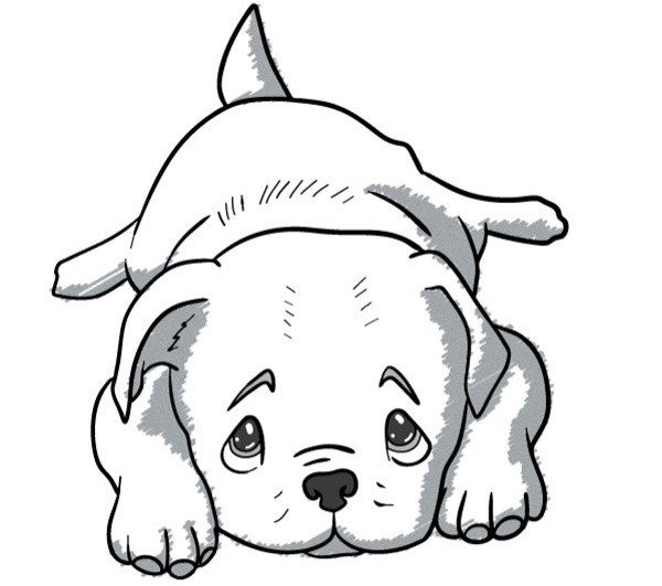 Раскрасить собаку цветными карандашами