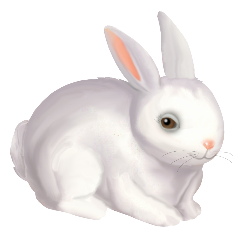 Белые картинки для детей. Зайчик Беленький. Зайчик белый для детей. Белый заяц на прозрачном фоне. Заяц белый для детей.