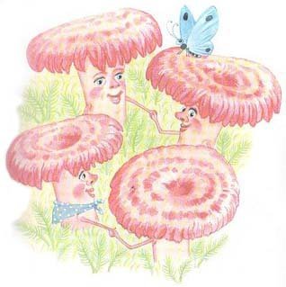 Волнушки грибы