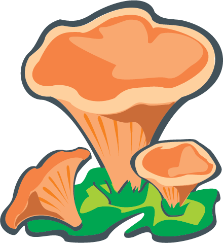 Лисичка гриб мультяшный