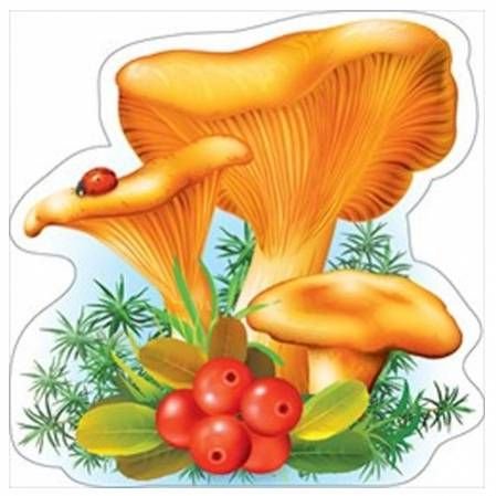 Гриб Лисичка для детей