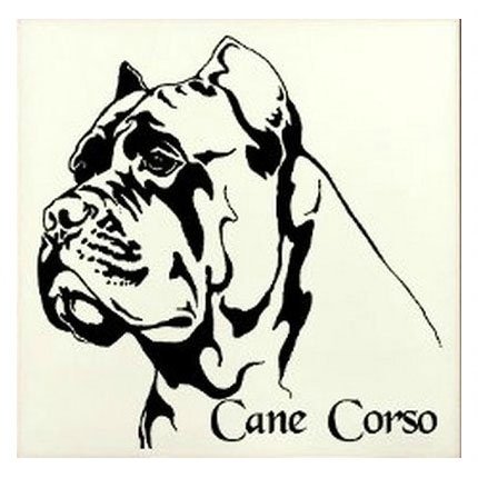 Векторная Кане Корсо