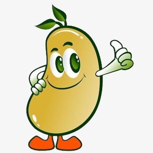 Какао Бобы без фона