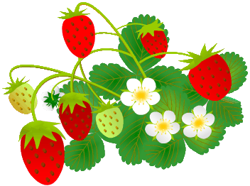 Куст земляники вектор