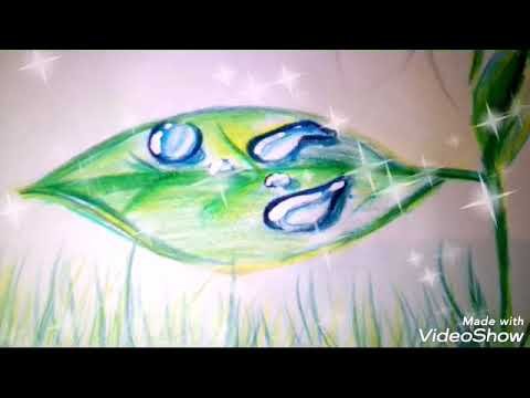 Роса на траве рисунок