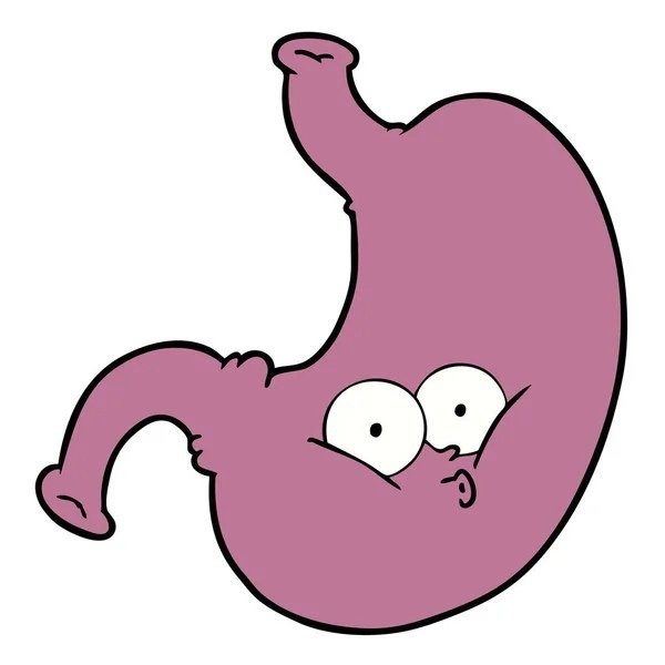 Желудок без фона