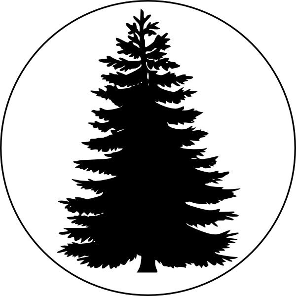 Силуэты елей