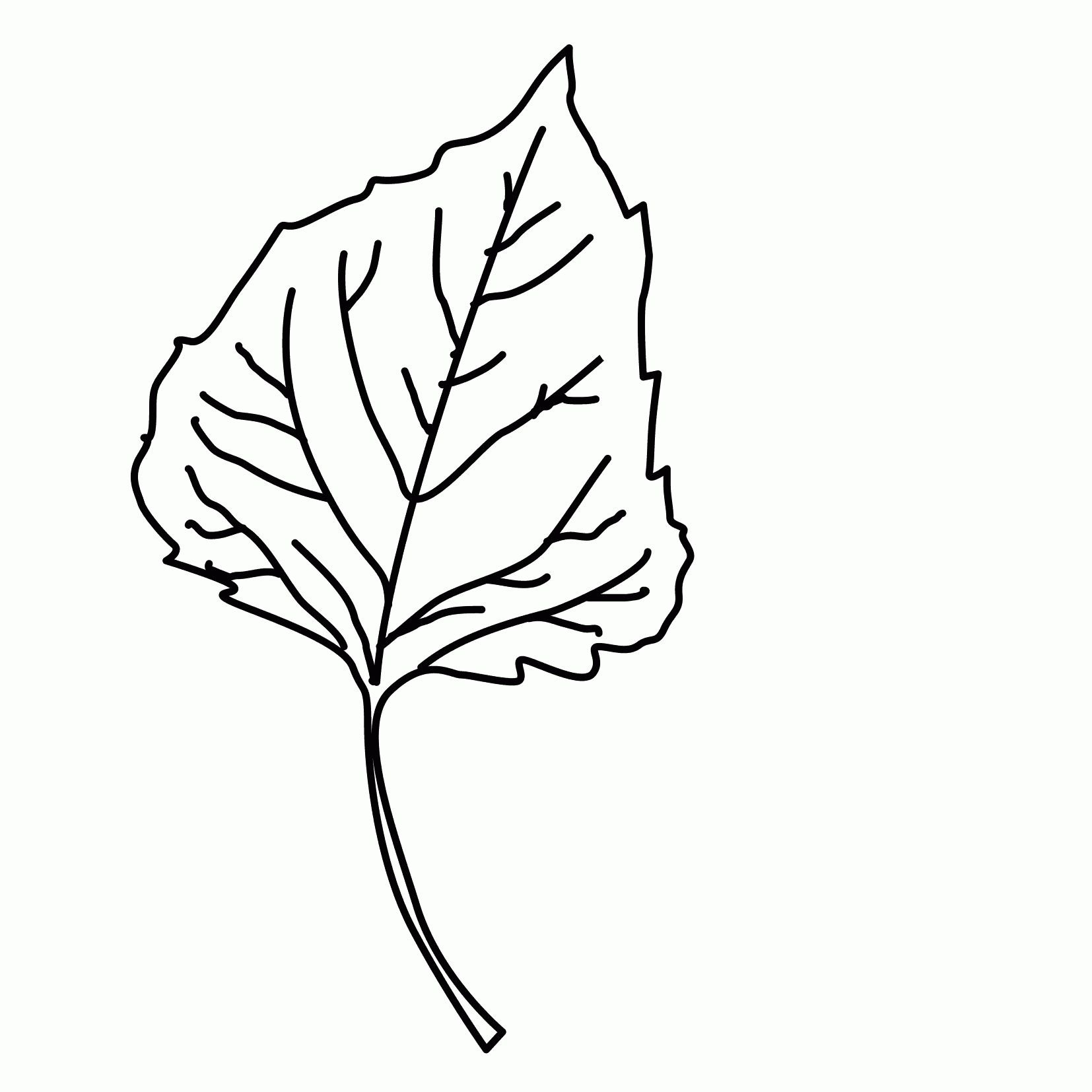 Осиновый лист раскраска
