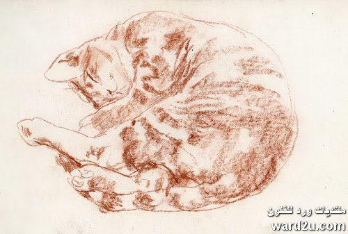 Подготовительная Графика