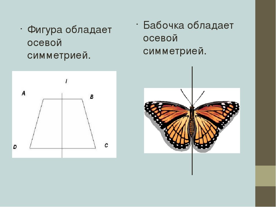 Симметричное изображение. Симметричные фигуры относительно оси. Фигуры с осевой симметрией. Осевая симметричная фигура. Ось симметрии бабочка.