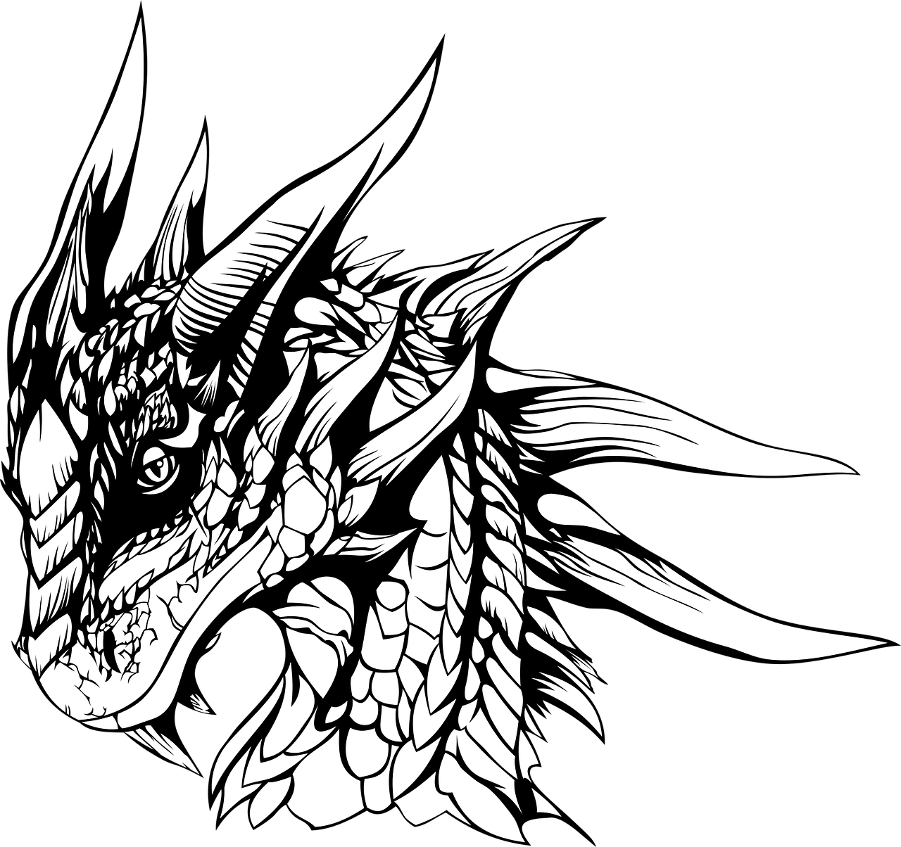 Dragon graphics. Графичный дракон. Голова дракона тату. Дракон тату эскиз. Дракон черно белый.