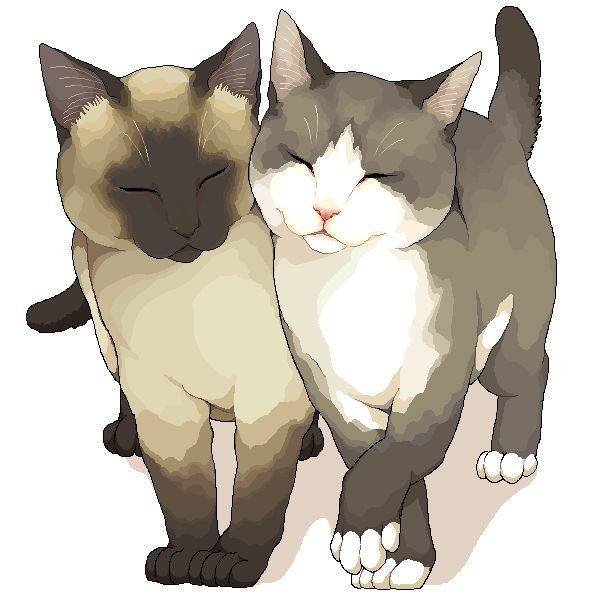 Сиамская кошка аниме