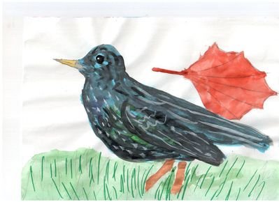 Рисование скворца