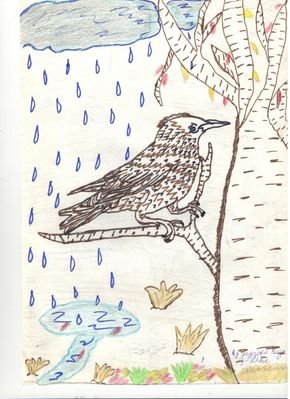 Текст песни Скворушка