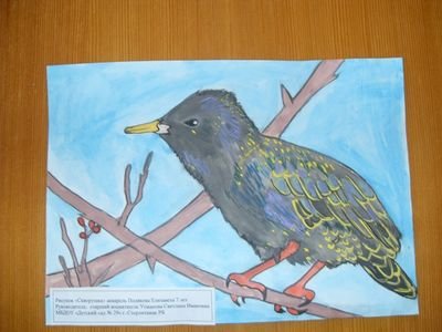 Раскраска. Весна