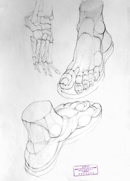 Стопа эскиз