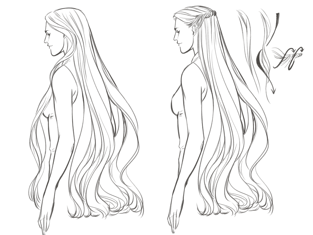 Удлиненный рисунок. Длинные волосы для рисования. Волосы рисунок. Длинные прически для рисования. Длинные волосы референс женские.