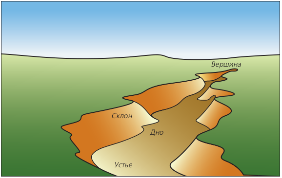 Структура оврага
