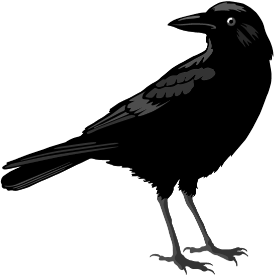 Дети ворона