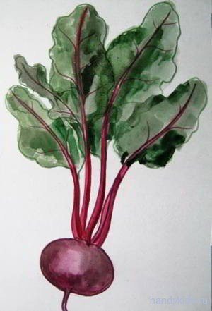 Стилизованная свекла