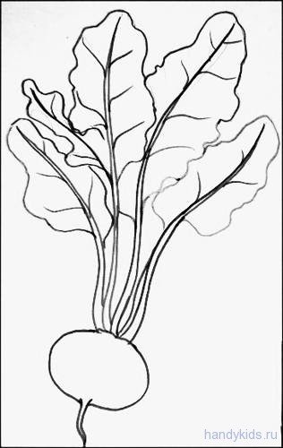 Редиска для детей