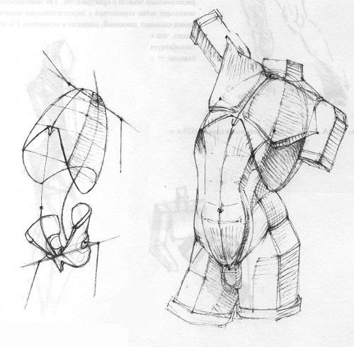 Экорше Гудона торс