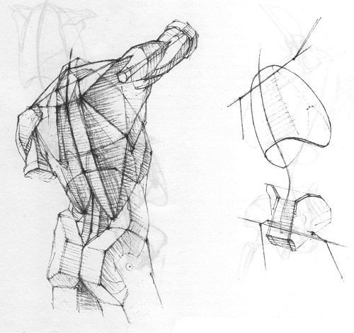 Экорше Гудона торс со спины